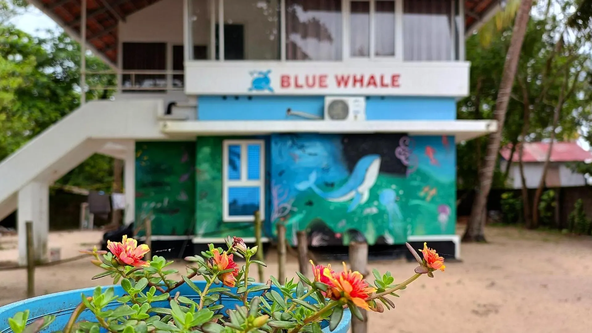 Marari Blue Whale Beach House Alappuzha 0*,  India