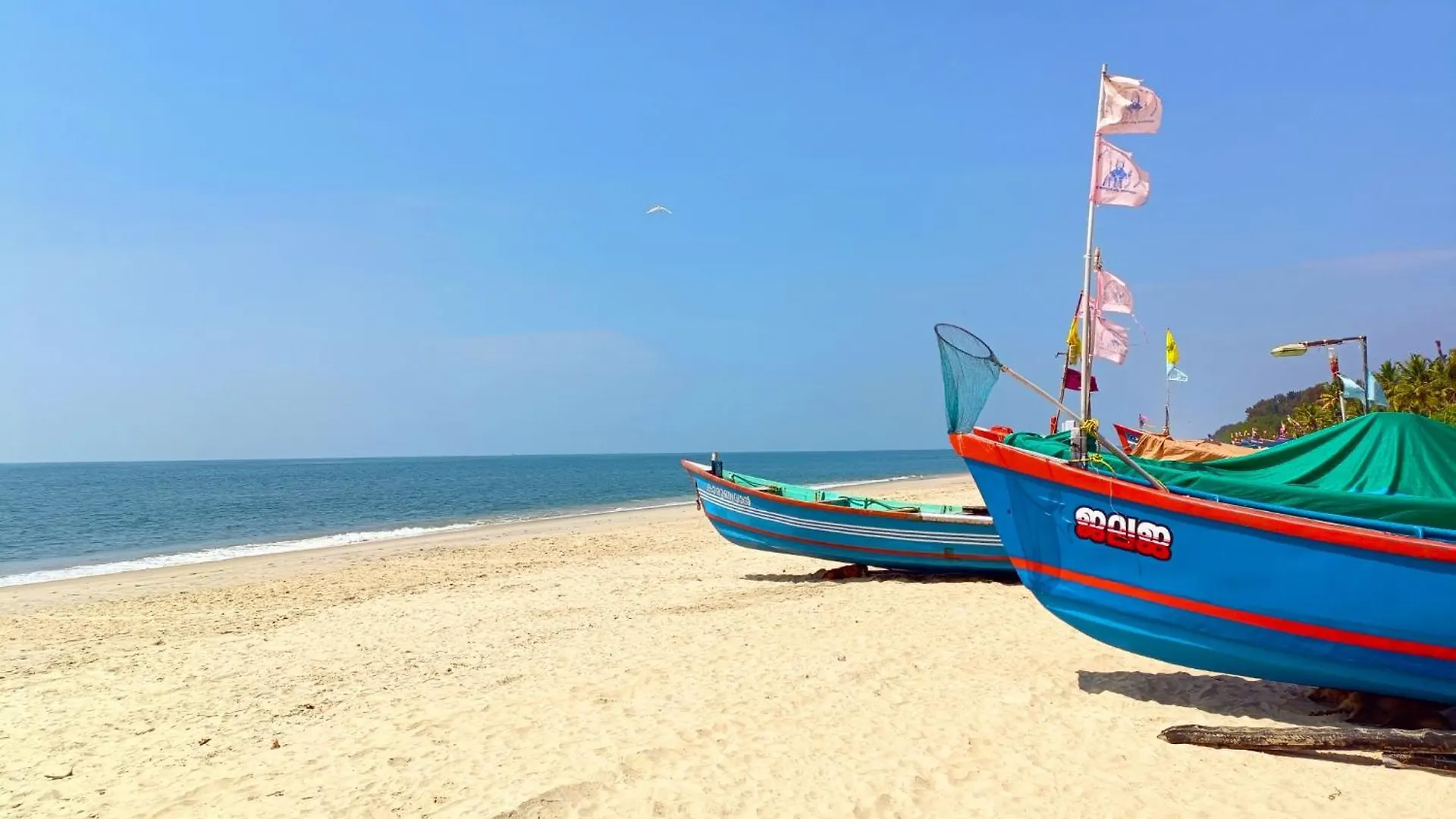 Bed & Breakfast Marari Blue Whale Beach House Alappuzha